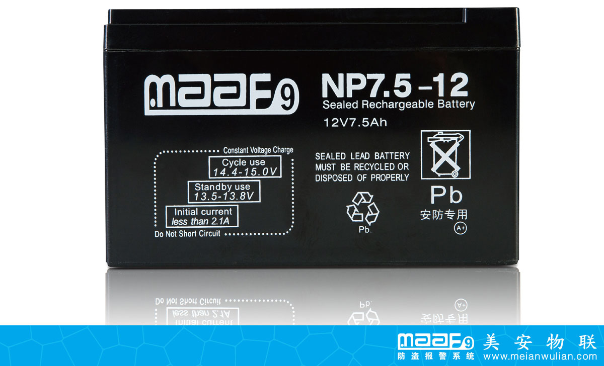 安防系统专用蓄电池