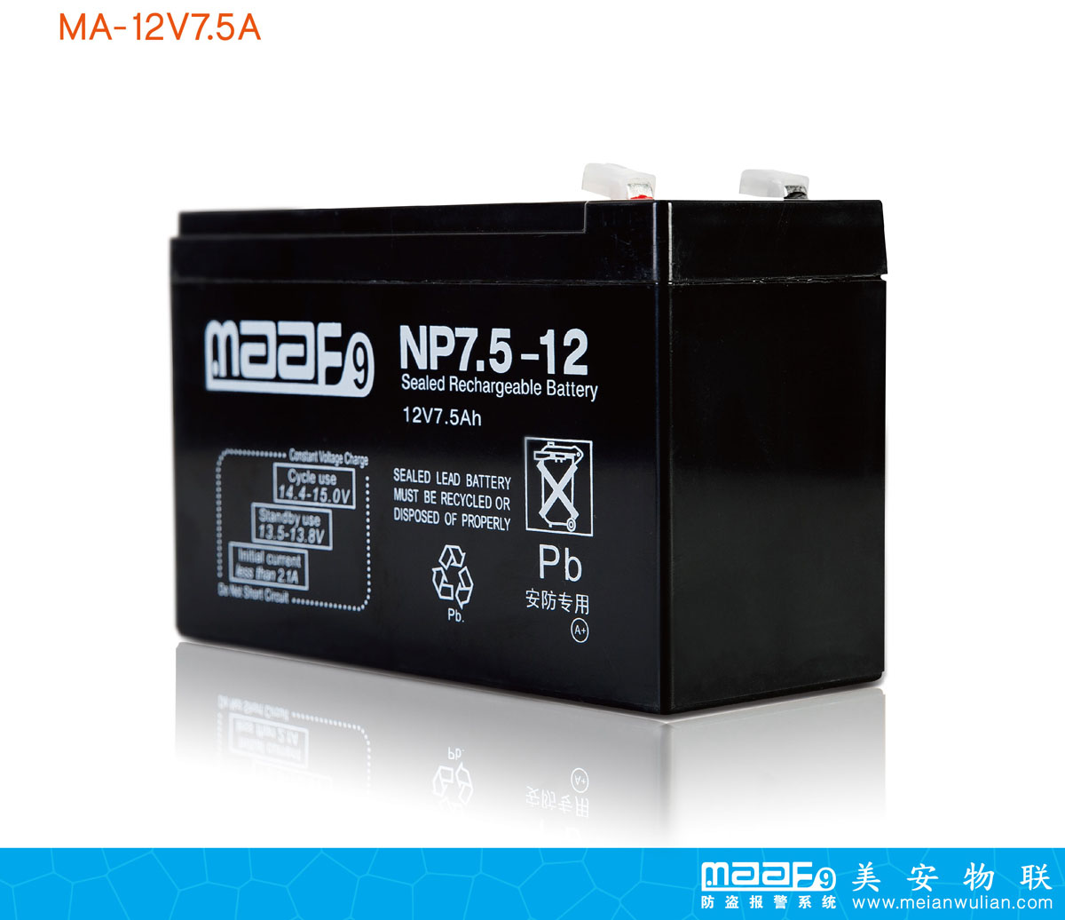 安防系统专用蓄电池